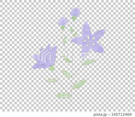 Autumn's Seven Flowers: A cute illustration of a bellflower (watercolor style) Autumn's Seven Flowers: A cute illustration of a bellflower (watercolor style) 140712469