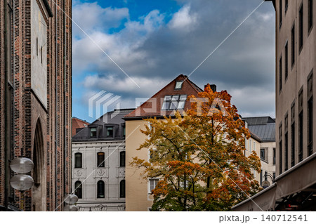 Autumn Tree Among Historic Buildings in Munich Autumn Tree Among Historic Buildings in Munich 140712541