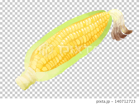 とうもろこしのイラスト 手描き 水彩風 とうもろこしのイラスト 手描き 水彩風 140712723
