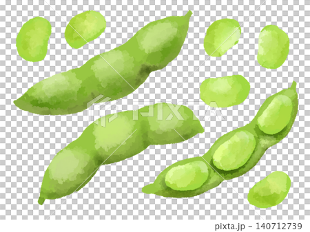 手繪水彩風格的毛豆插圖。 手繪水彩風格的毛豆插圖。 140712739