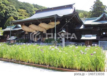 福津市の宮地嶽神社の本殿と花菖蒲 福津市の宮地嶽神社の本殿と花菖蒲 140713030