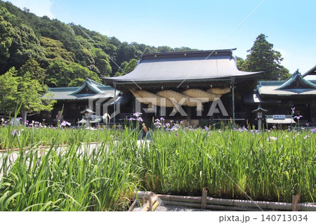 福津市の宮地嶽神社の本殿と花菖蒲 福津市の宮地嶽神社の本殿と花菖蒲 140713034