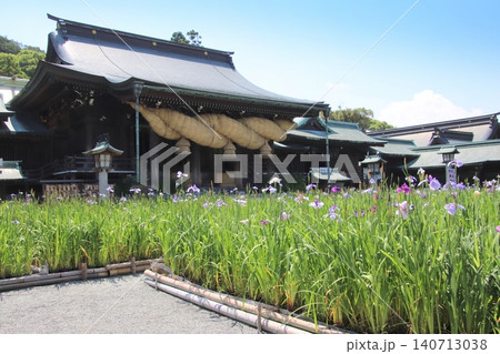 福津市の宮地嶽神社の本殿と花菖蒲 140713038