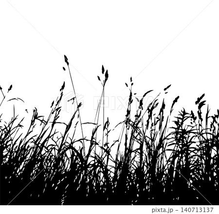 Grass silhouette vector isolated on white background nature design illustration of grass plant pattern greenery artwork Hand drawn. Not AI, vector illustration. 140713137