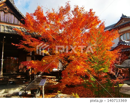 東福寺塔頭勝林寺 東福寺塔頭勝林寺 140713369
