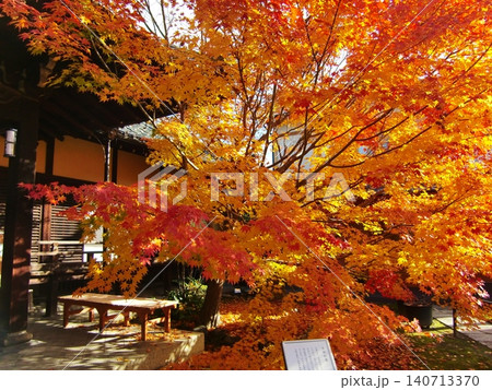 東福寺塔頭勝林寺 東福寺塔頭勝林寺 140713370