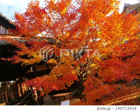 勝林寺 勝林寺 140713416