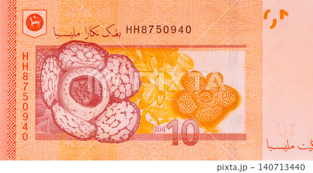 Malaysia paper currency, there currency in denominations of ten ringgit released Bank Negara Malaysia Malaysia paper currency, there currency in denominations of ten ringgit released Bank Negara Malaysia 140713440