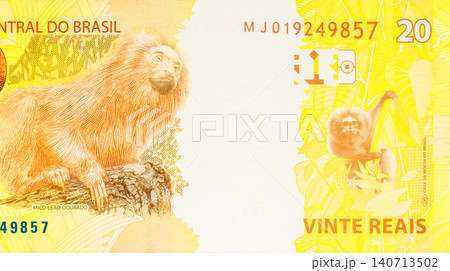 Brazilian economic business BRL 20 money banknotes issued by Brazil Central Bank Brazilian economic business BRL 20 money banknotes issued by Brazil Central Bank 140713502
