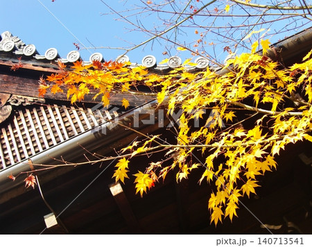 東福寺塔頭勝林寺 140713541