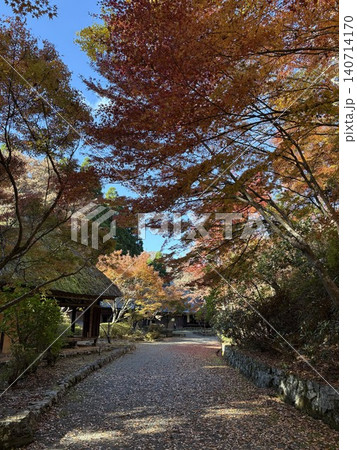 茅葺き屋根の歴史ある建物の前に広がる美しい紅葉の並木道 茅葺き屋根の歴史ある建物の前に広がる美しい紅葉の並木道 140714170