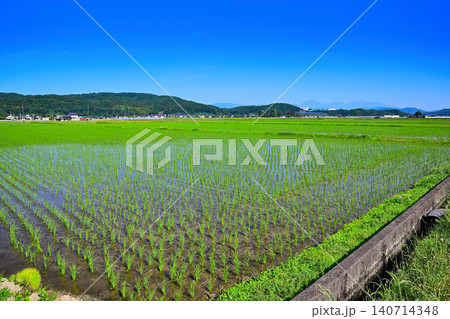 青空と田圃 田園風景 道の駅 にしかた付近 青空と田圃 田園風景 道の駅 にしかた付近 140714348