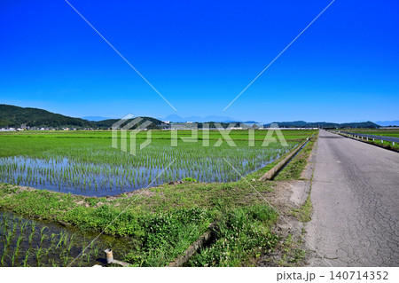 青空と田圃　田園風景　道の駅　にしかた付近 140714352