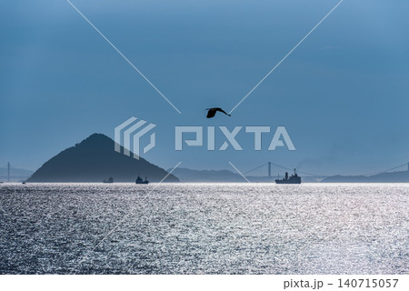 瀬戸内海に浮かぶ大槌島(おにぎり島) 瀬戸内海に浮かぶ大槌島(おにぎり島) 140715057