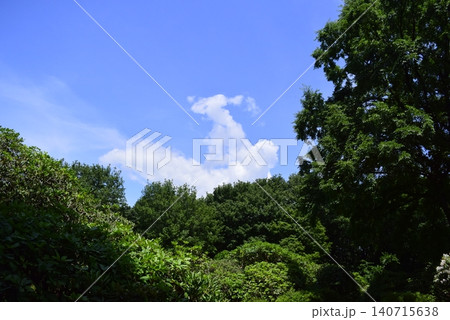 群馬 公園内の景色 群馬 公園内の景色 140715638
