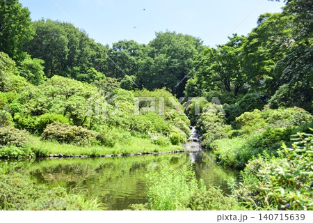 群馬 公園内の景色 群馬 公園内の景色 140715639