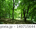 群馬　公園内の景色 140715644