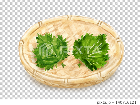 竹ザルに乗った大葉（青じそ）の手描き水彩イラスト素材 140716121