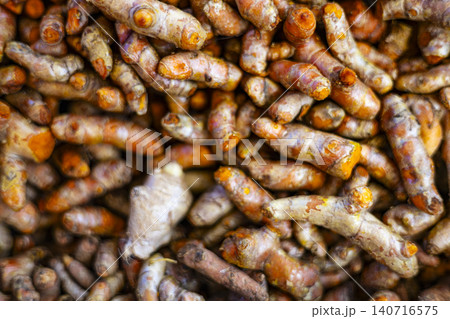 Large Pile Of Fresh Turmeric Roots At The Market, Beautiful natural harvest for culinary documentary, organic food conservation, traditional local kitchen lifestyle and nutrition environment. Large Pile Of Fresh Turmeric Roots At The Market, Beautiful natural harvest for culinary documentary, organic food conservation, traditional local kitchen lifestyle and nutrition environment. 140716575