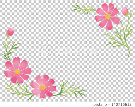 粉紅色波斯菊框架 140716612