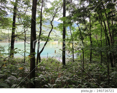上高地の自然 140716721