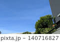 夏空と樹木が美しい自然風景 140716827