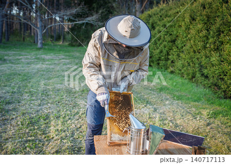 Beekeeper inspecting a honeycomb frame in a rural field in the Netherlands during the spring 140717113
