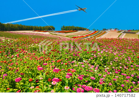 美瑛の美しいお花畑の絶景 美瑛の美しいお花畑の絶景 140717582