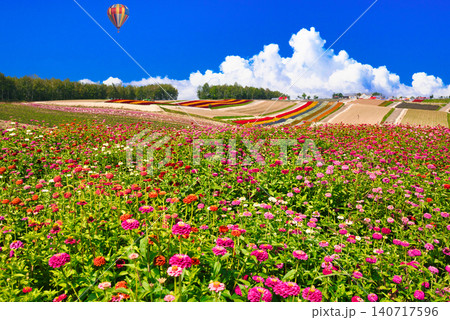 美瑛の美しいお花畑の絶景 美瑛の美しいお花畑の絶景 140717596