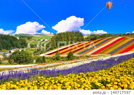 美瑛の美しいお花畑の絶景 140717597