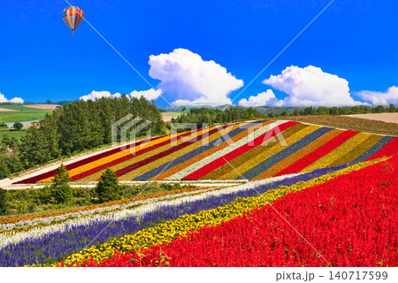 美瑛の美しいお花畑の絶景 美瑛の美しいお花畑の絶景 140717599