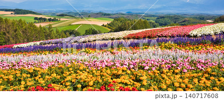 美瑛の美しいお花畑の絶景 140717608