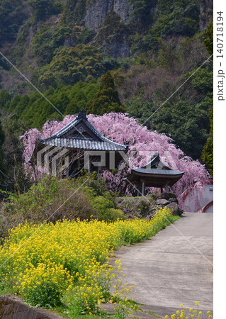 実相院のしだれ桜 実相院のしだれ桜 140718194