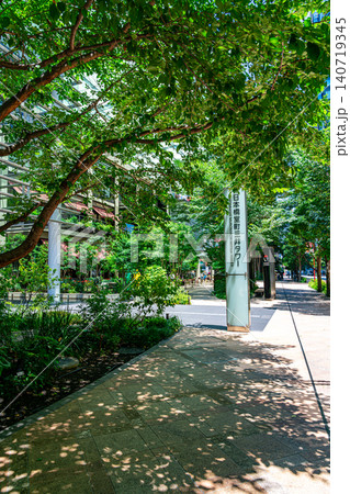 【東京都】夏の緑が爽やかな日本橋の街並み 【東京都】夏の緑が爽やかな日本橋の街並み 140719345