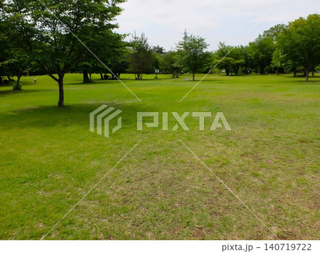 和光樹林公園の初夏 和光樹林公園の初夏 140719722