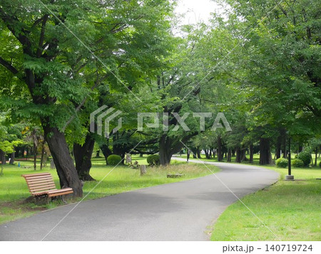 和光樹林公園の初夏 140719724