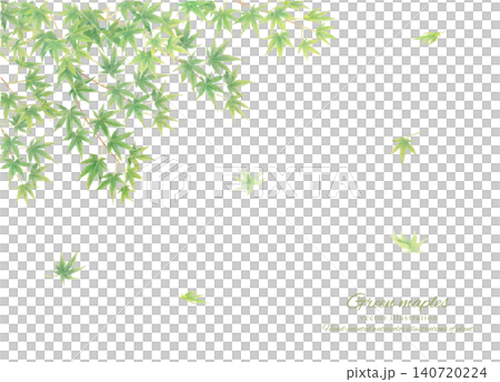 手繪藍色楓葉背景的向量圖。 140720224