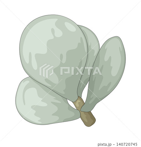 Illustration of Thick Leaf Illustration of Thick Leaf 140720745