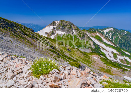 夏の晴天 北アルプス・白馬岳の岩肌と剱岳を背景に足元に咲くイワツメクサの風景 夏の晴天 北アルプス・白馬岳の岩肌と剱岳を背景に足元に咲くイワツメクサの風景 140720790