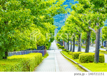 歩道と並木 歩道と並木 140721151