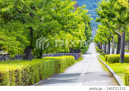 歩道と並木 歩道と並木 140721152