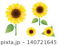 水彩風のひまわりのイラストセット 夏のベクター素材集 140721645