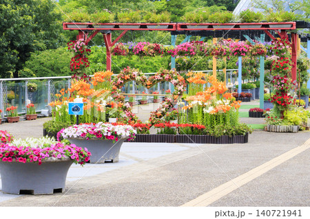 ゆり満開のとっとり花回廊 140721941