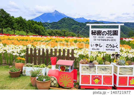 ゆり満開のとっとり花回廊 ゆり満開のとっとり花回廊 140721977