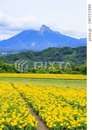 ゆり満開のとっとり花回廊 ゆり満開のとっとり花回廊 140721998
