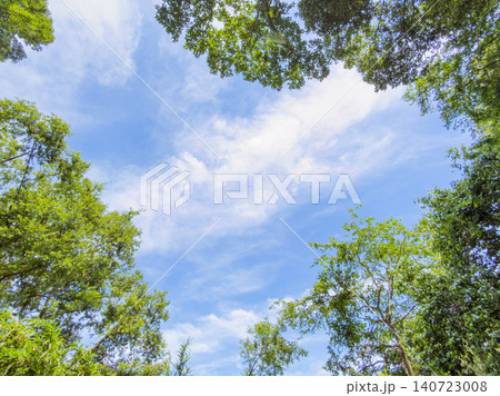 森林に囲まれた青空を見上げる風景 森林に囲まれた青空を見上げる風景 140723008