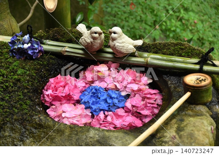 柳谷観音楊谷寺の紫陽花 140723247