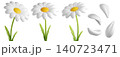 Cute 3D plastic Daisy Flower. Cartoon chamomile bubble bloom with white petals for spring and summer design. 3d render	 140723471