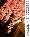 夜桜　枝垂れ桜　 140723590