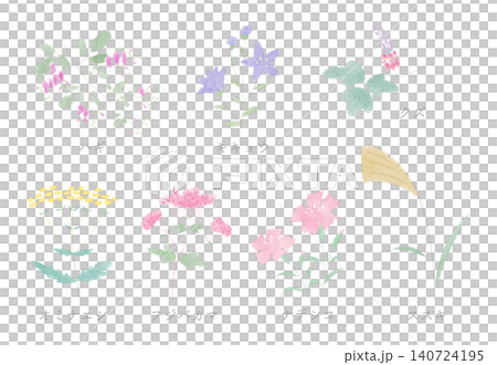Autumn's Seven Flowers: Cute Illustration Set (Watercolor Style) Autumn's Seven Flowers: Cute Illustration Set (Watercolor Style) 140724195